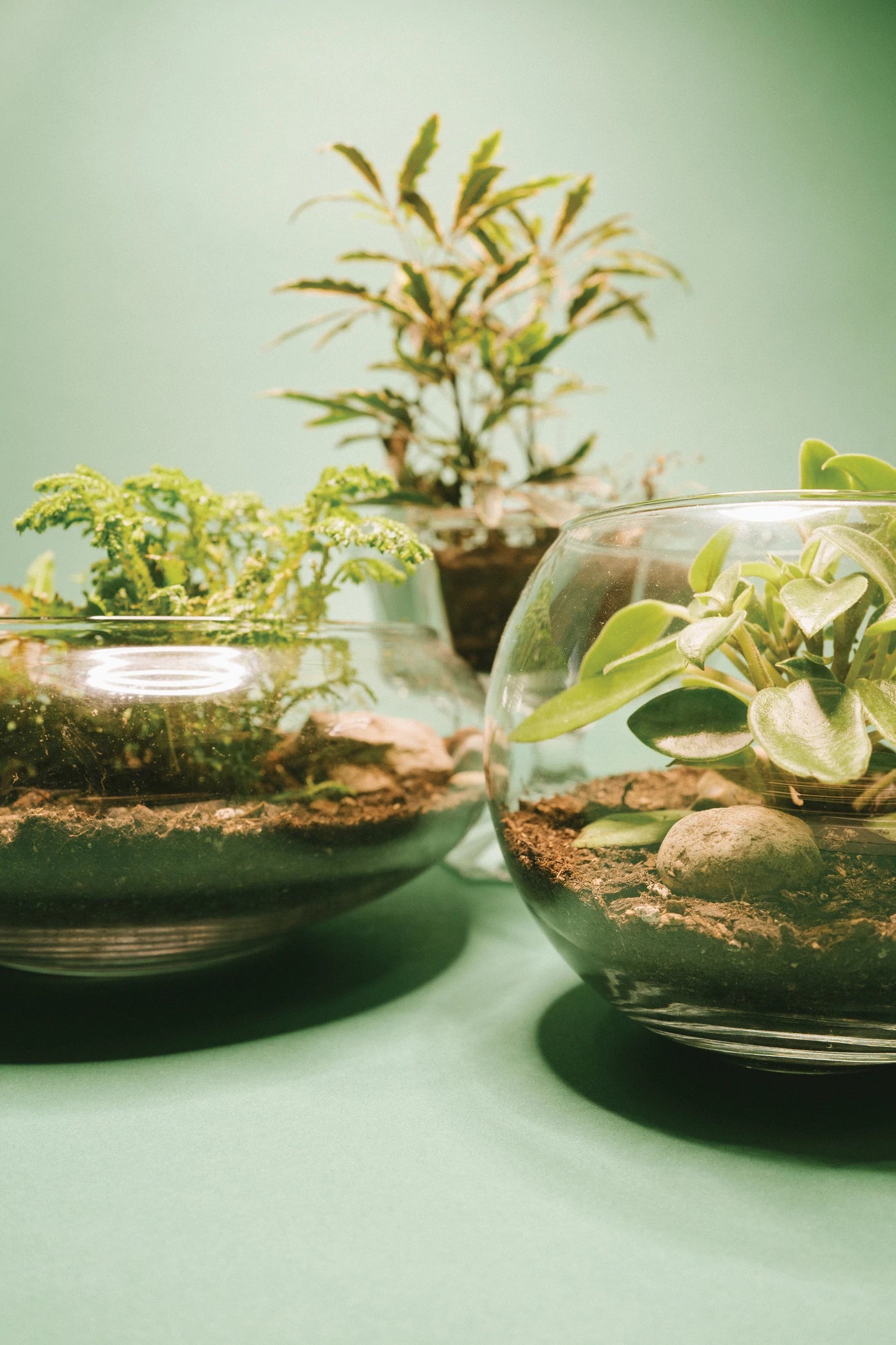 Bright Vol. 1 (Spring 2022) Making Magazine