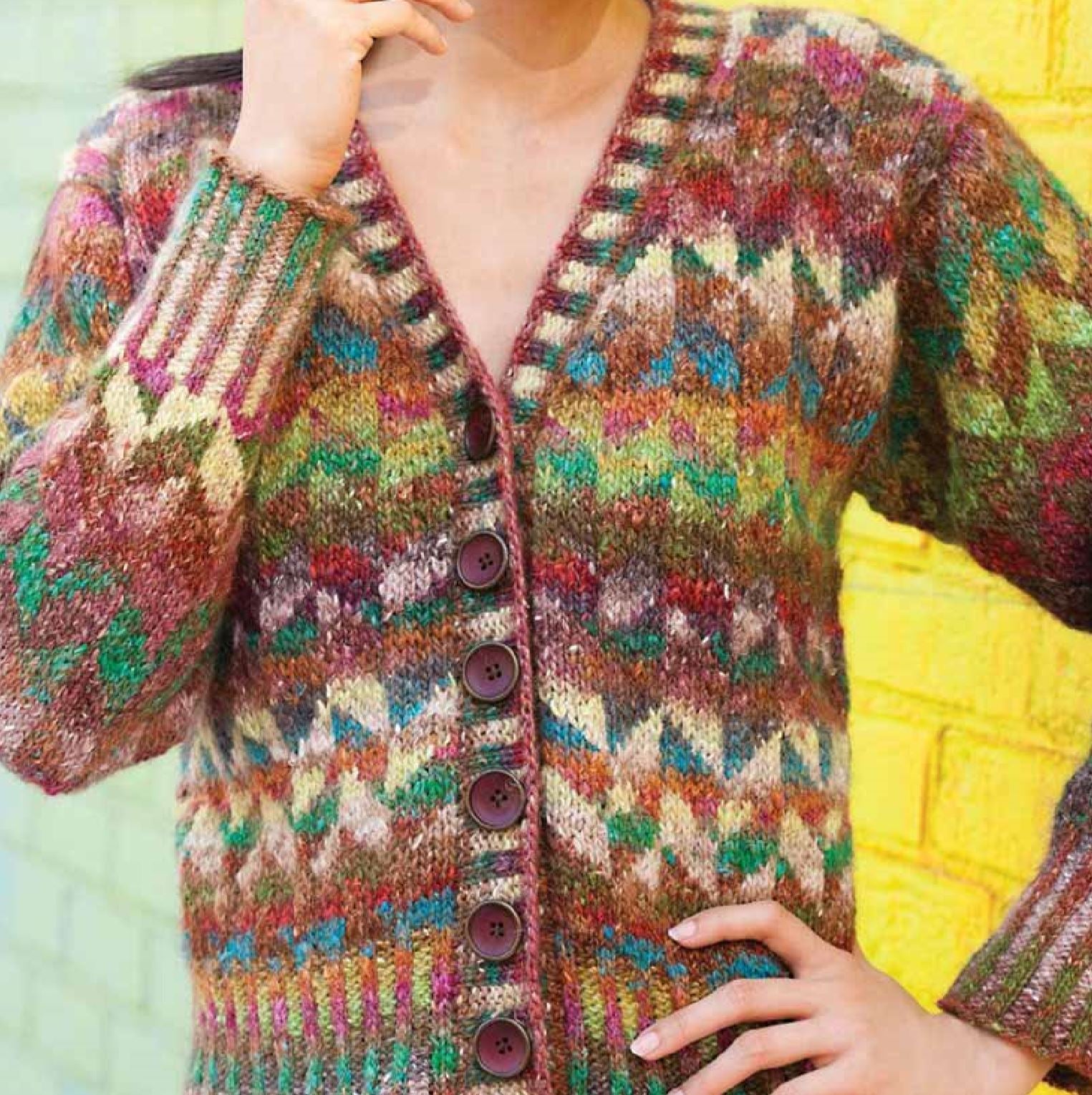 Colourwork Cardigan Pattern by Noro Noro