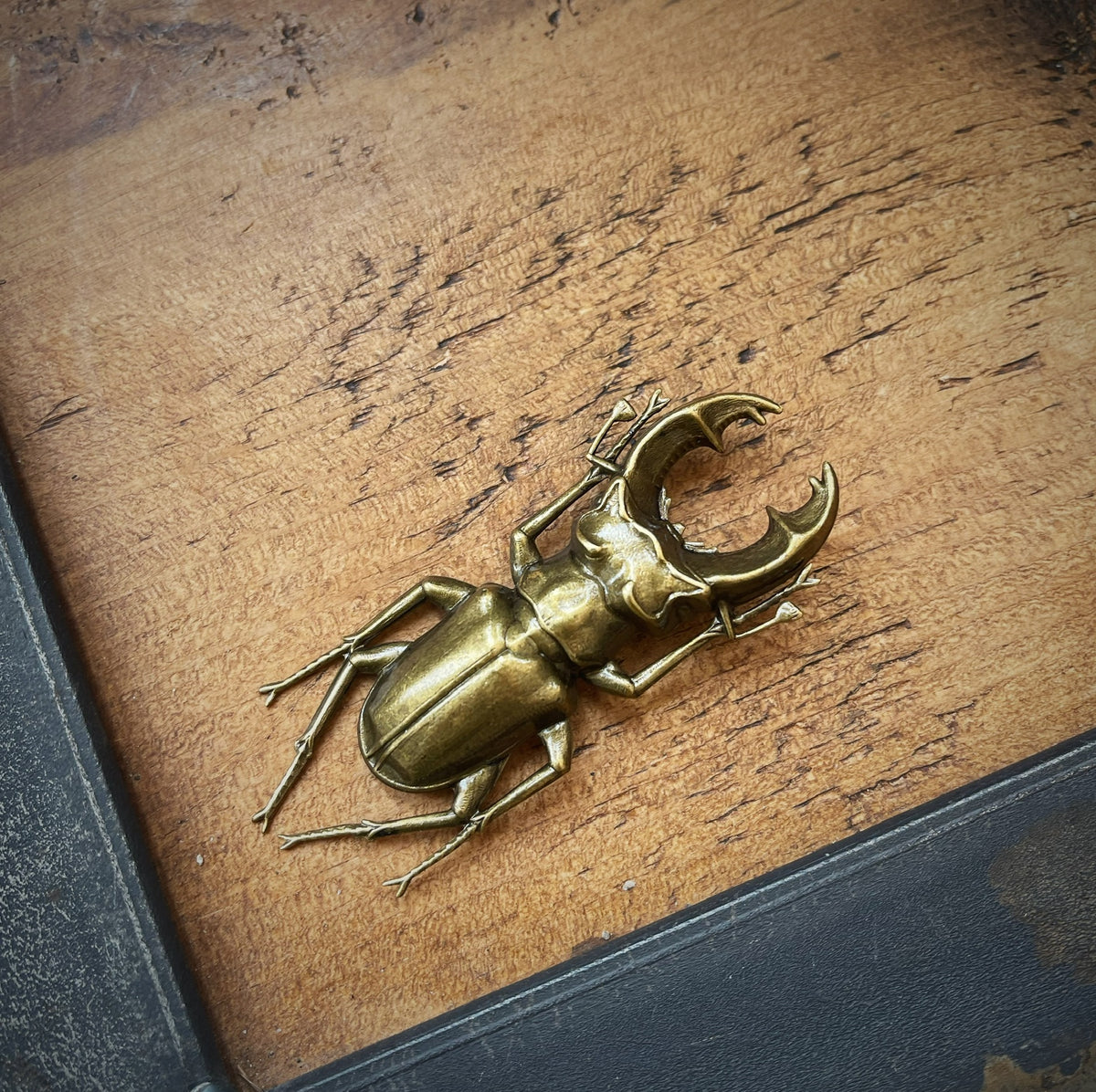 Stag Beetle Brooch TextileGarden