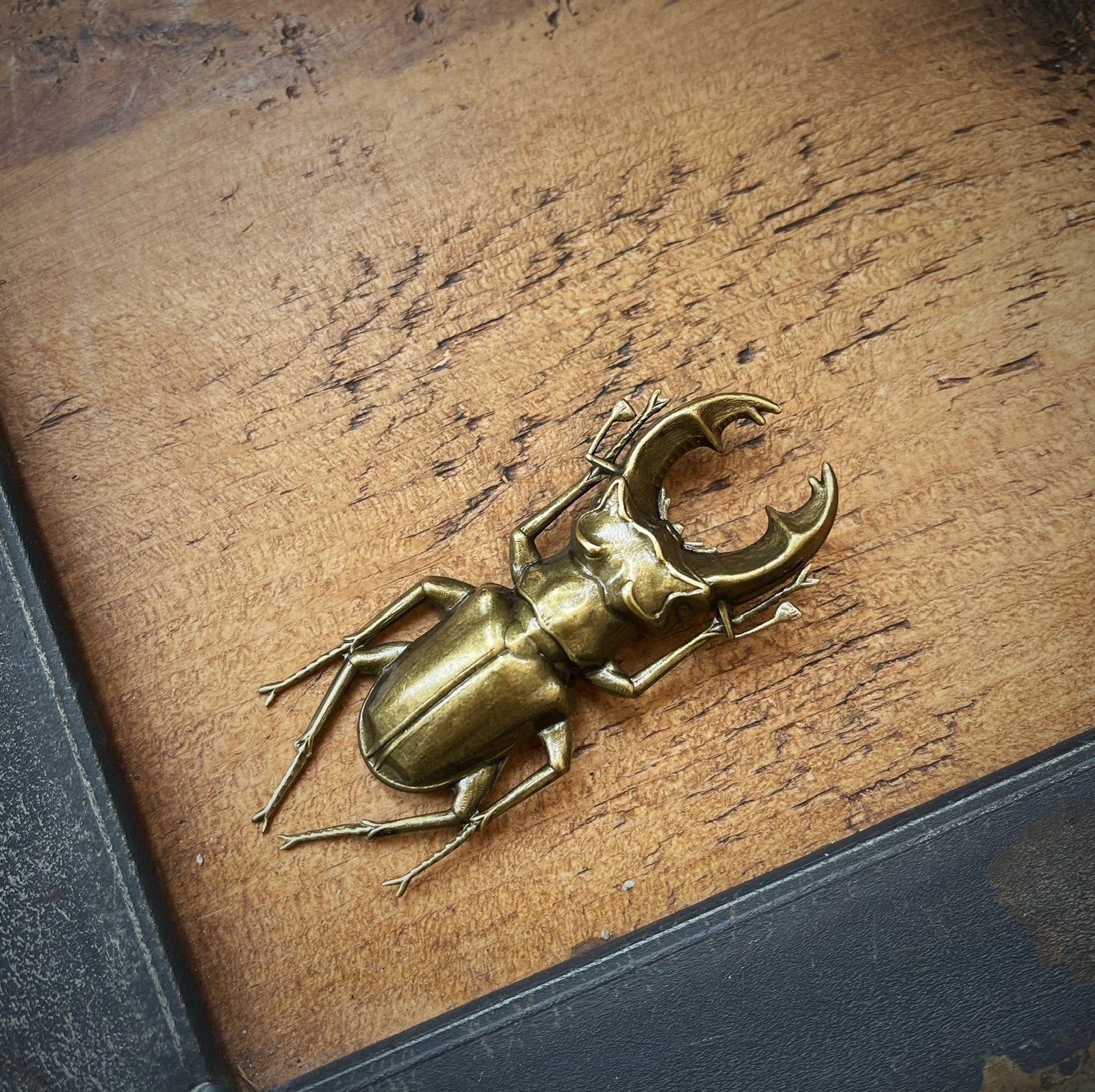 Stag Beetle Brooch TextileGarden