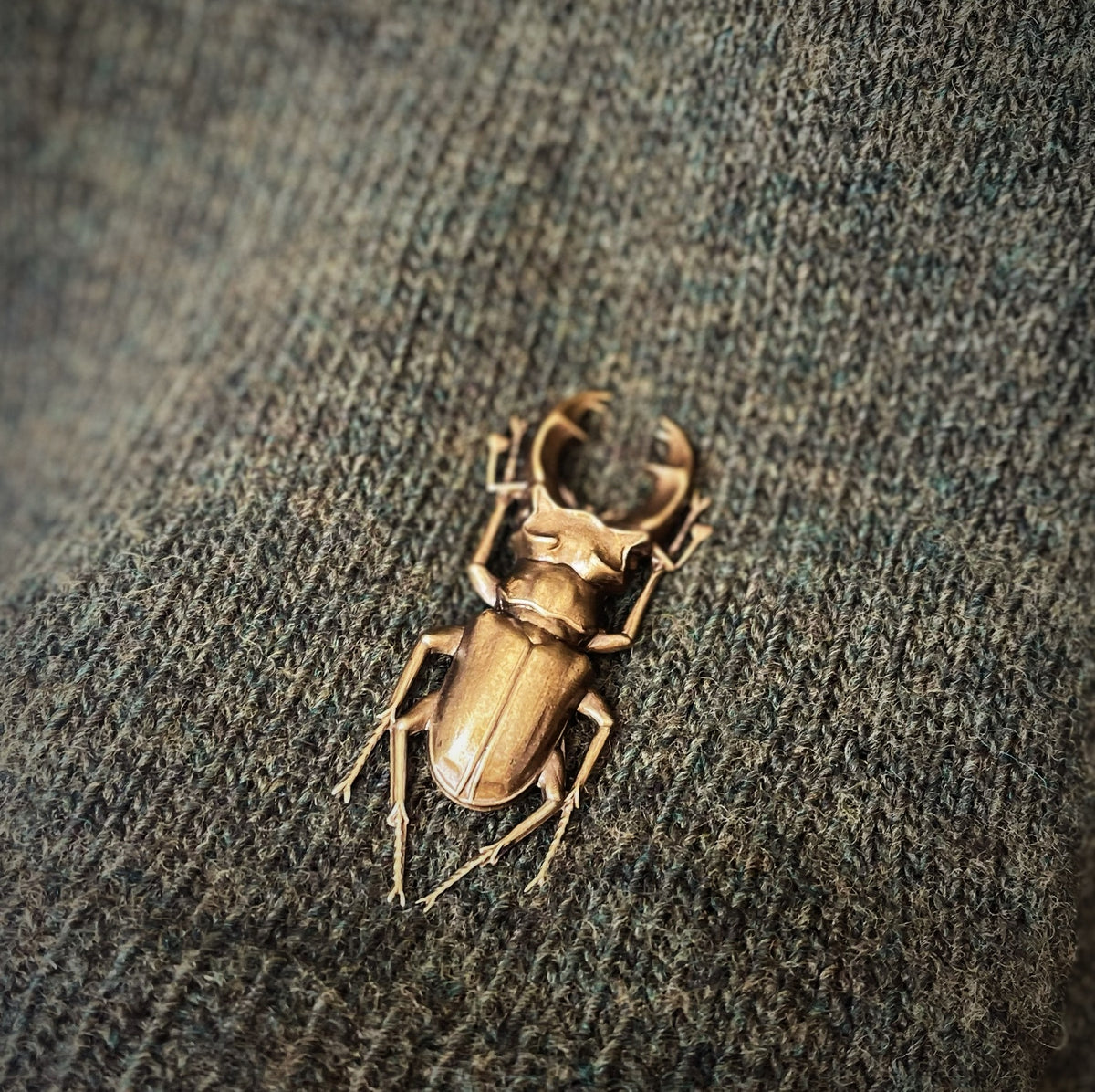 Stag Beetle Brooch TextileGarden