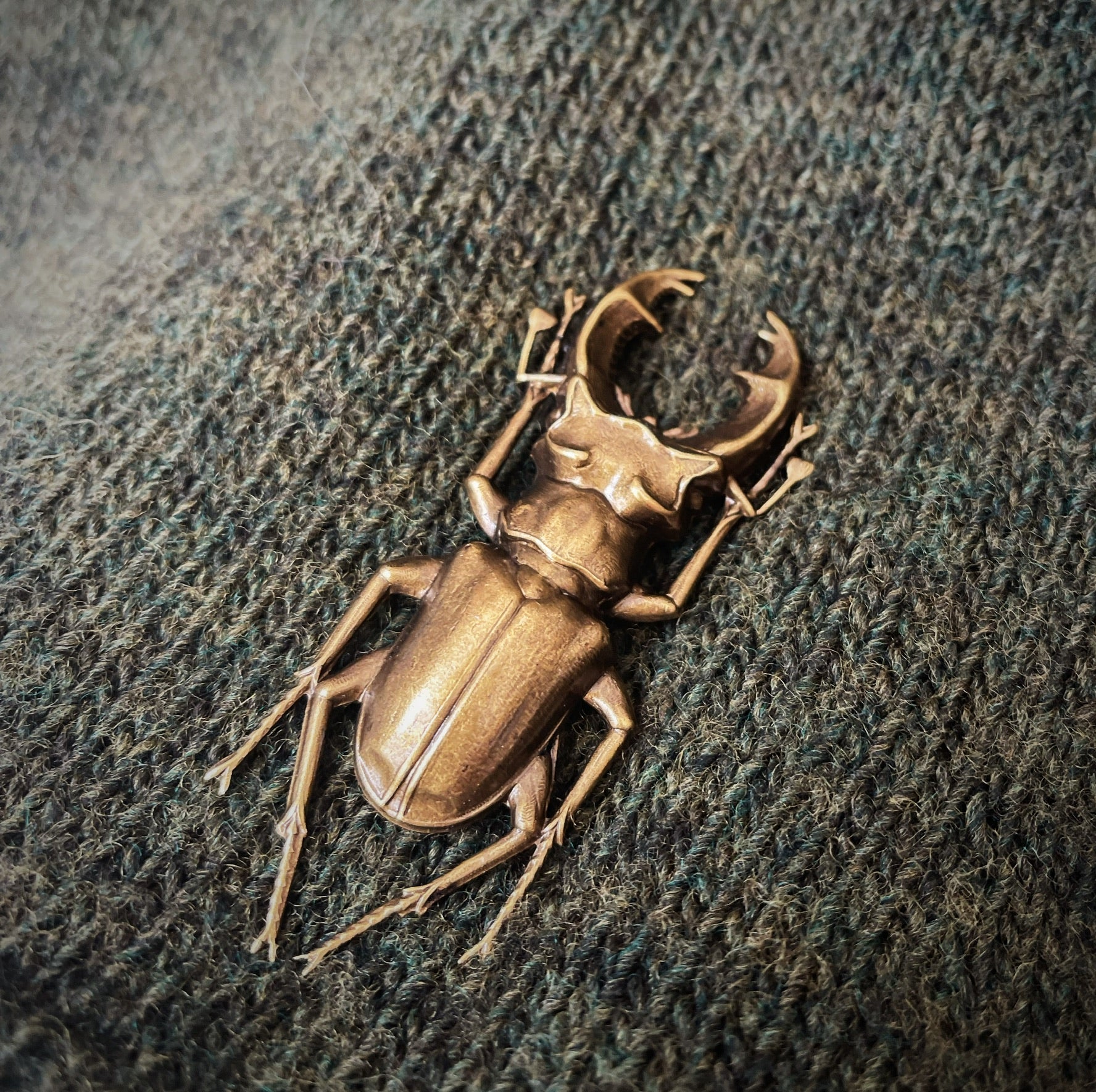 Stag Beetle Brooch TextileGarden