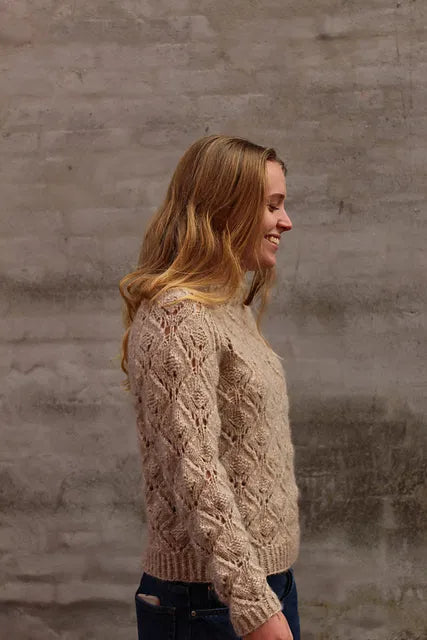 Anita's Sweater Kit with Snefnug Pickles