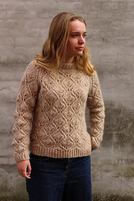 Anita's Sweater Kit with Snefnug Pickles