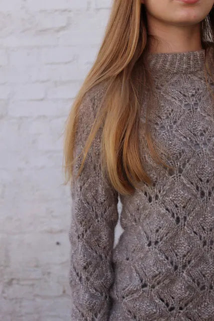 Anita's Sweater Kit with Snefnug Pickles