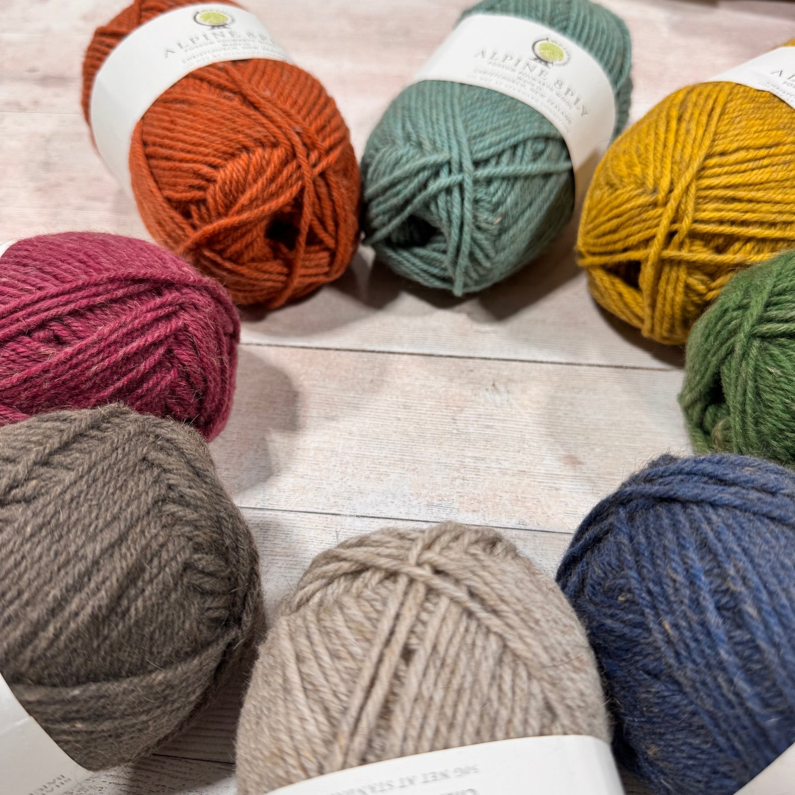 Alpine Polwarth Possum