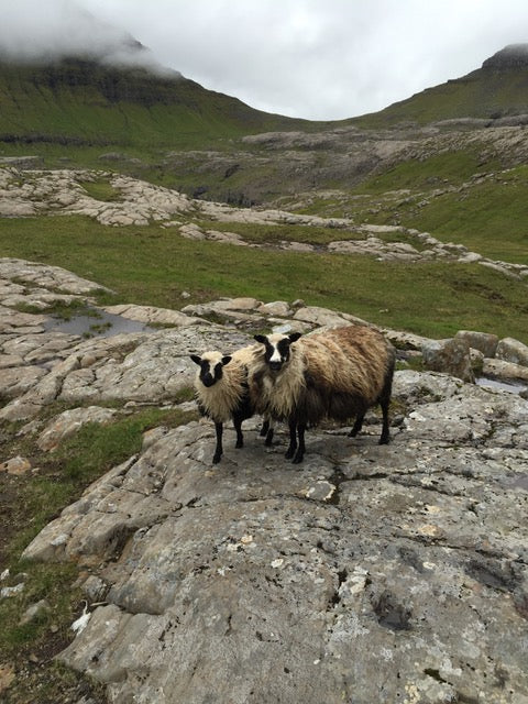 Faroese Yarn