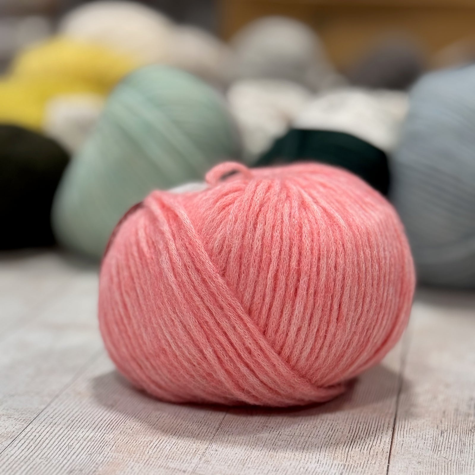 My Joy & Up-Cycling by Gepard