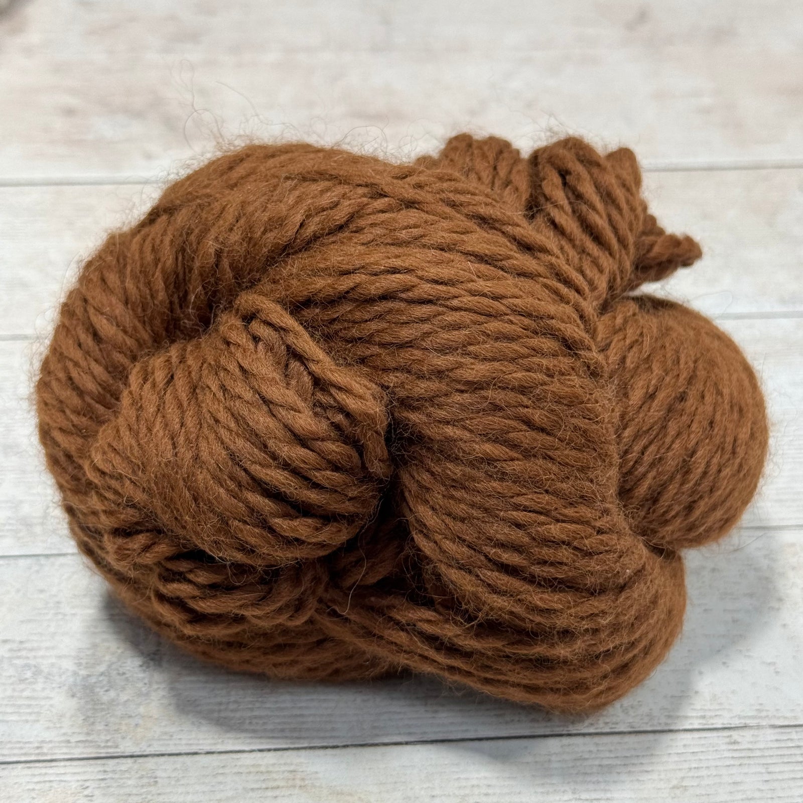 Babyalpaca Los Andes