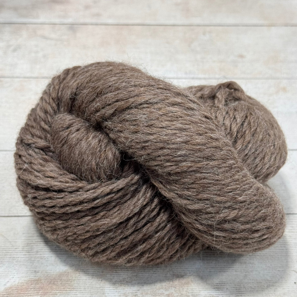 Babyalpaca Los Andes