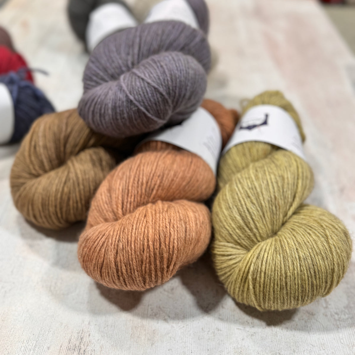 Selene Sweater Kits Circus Tonic