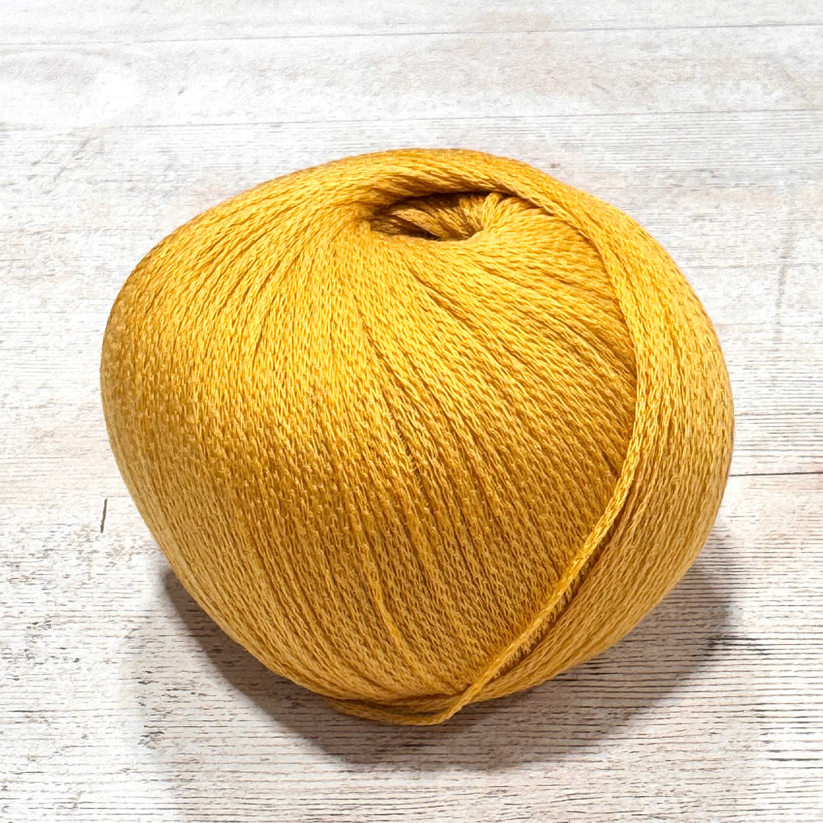 Arctic Pearl by Pascuali