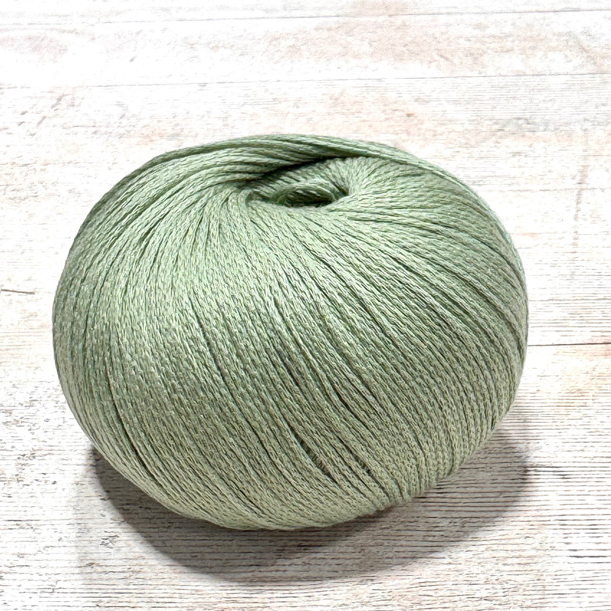 Arctic Pearl by Pascuali