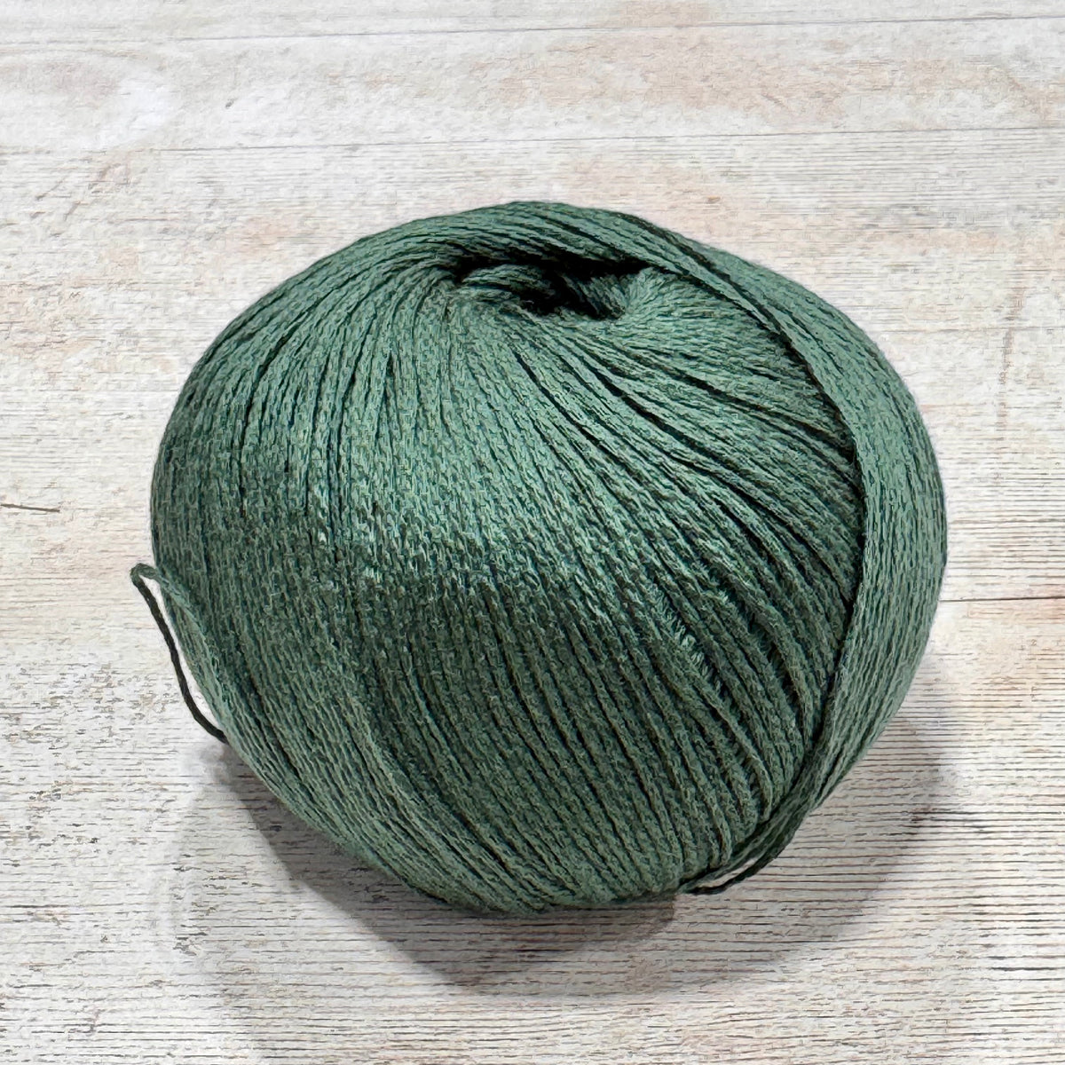 Arctic Pearl by Pascuali