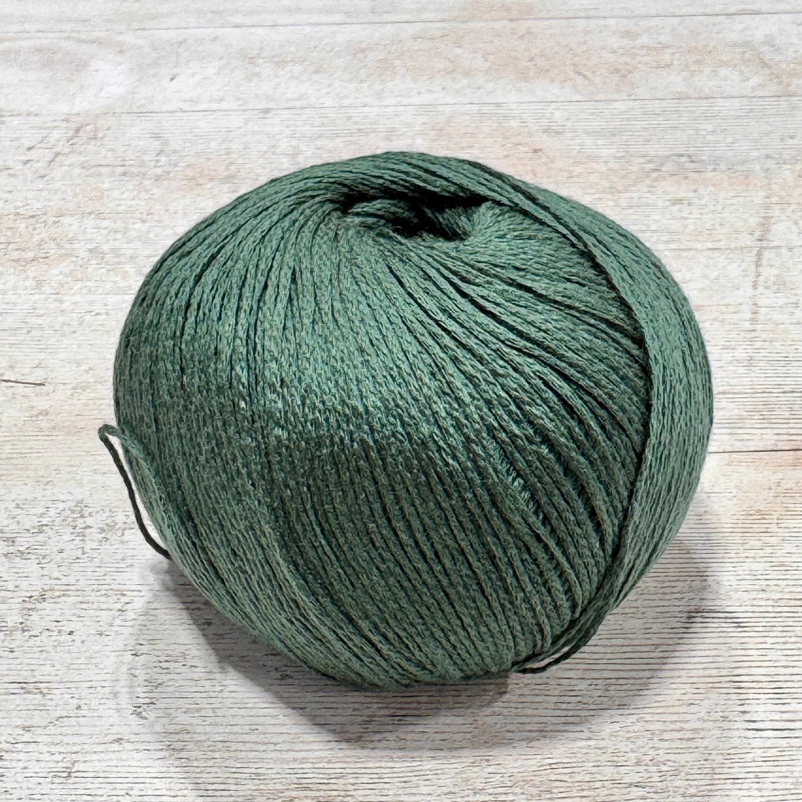 Arctic Pearl by Pascuali