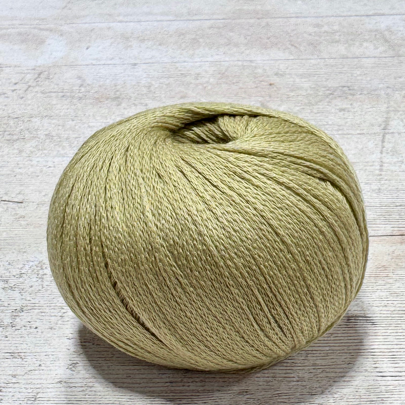 Arctic Pearl by Pascuali