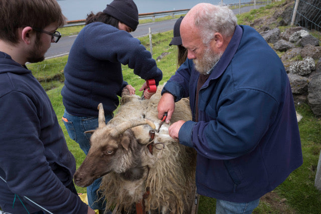 Faroese Yarn