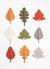 Fall Leaves Kit with Woolstok Mini Skein Bundles Blue Sky Fibers