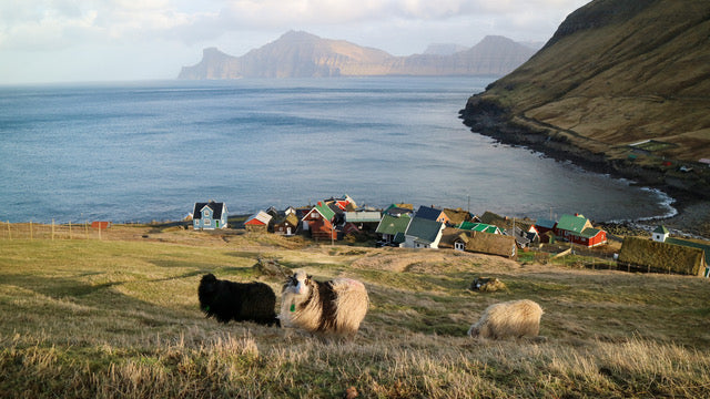 Faroese Yarn