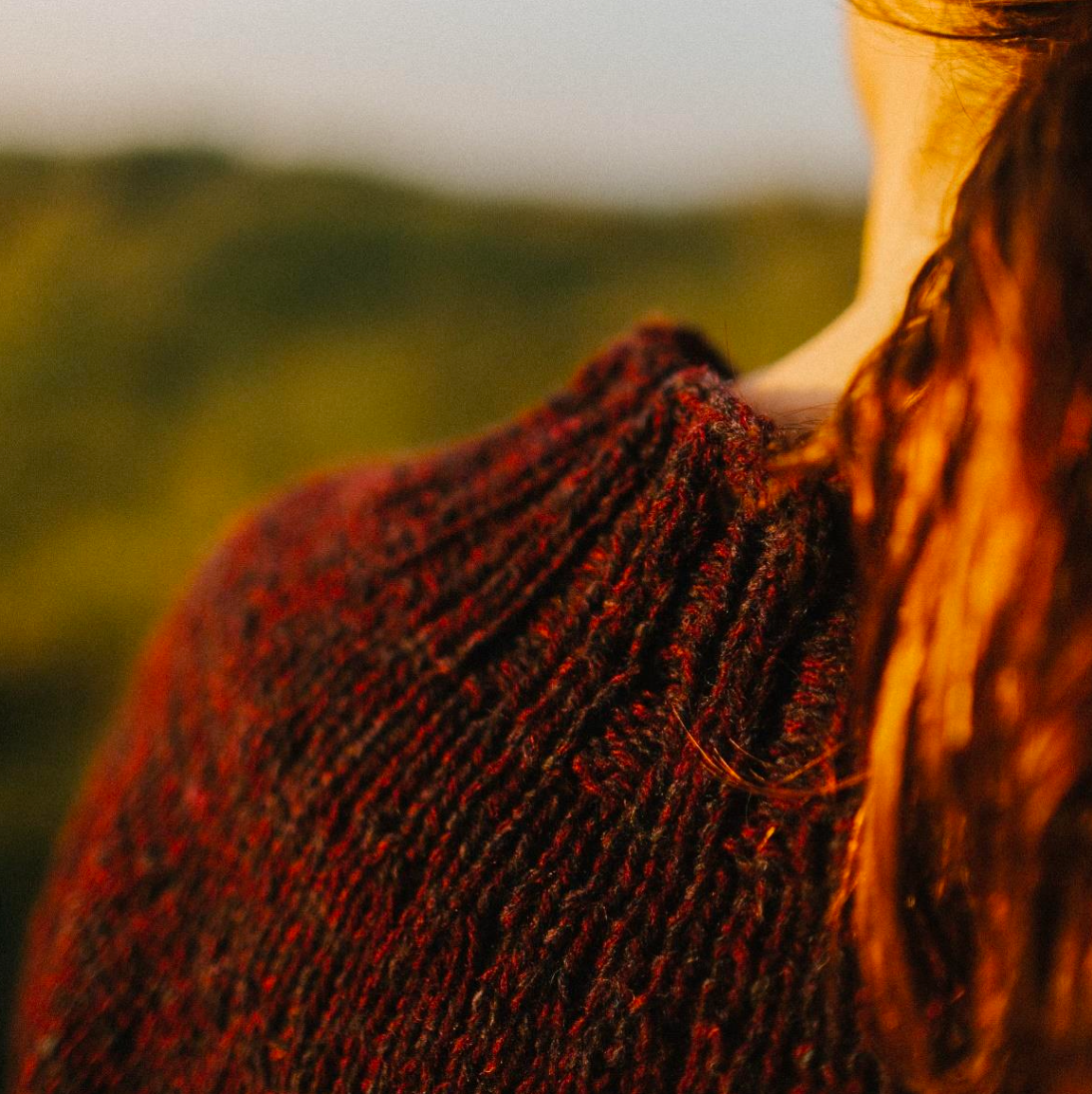 No.17 Sweater Pattern Biches & Bûches