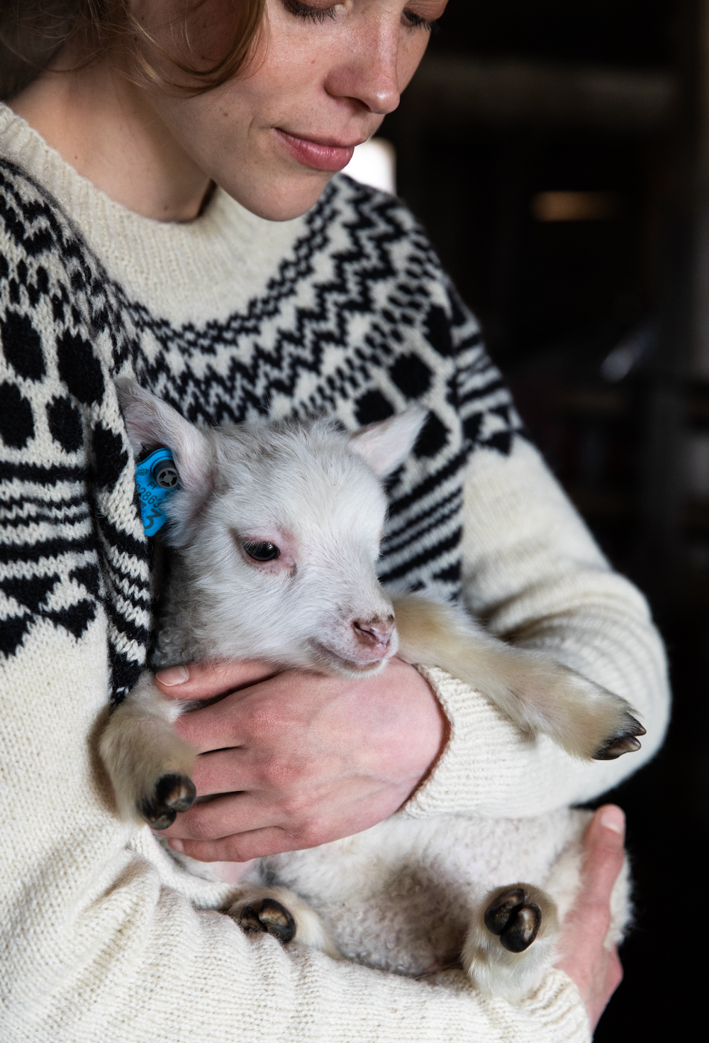 Tukubook: Nordic Knits. Silent Strength by Laine