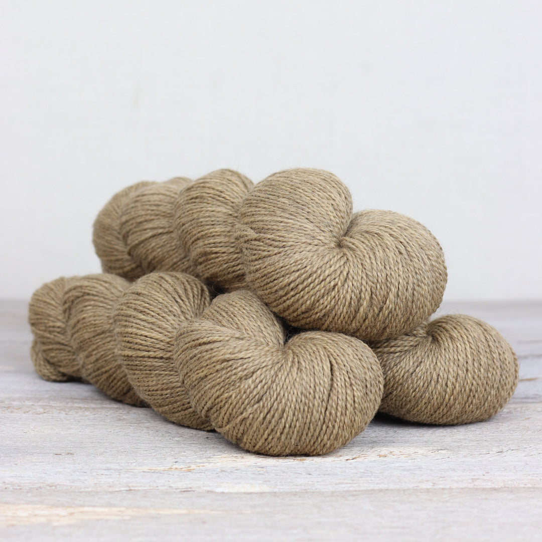 One Sock Beginner Sock Knitting Kit - Basic