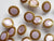 15mm - Lilac Trocas Shell button with Gold Edge TextileGarden