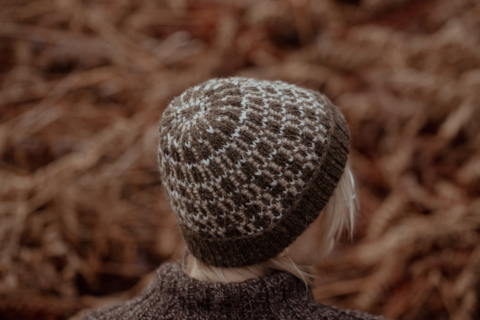 The Island and the Forest: A Knitted Correspondence