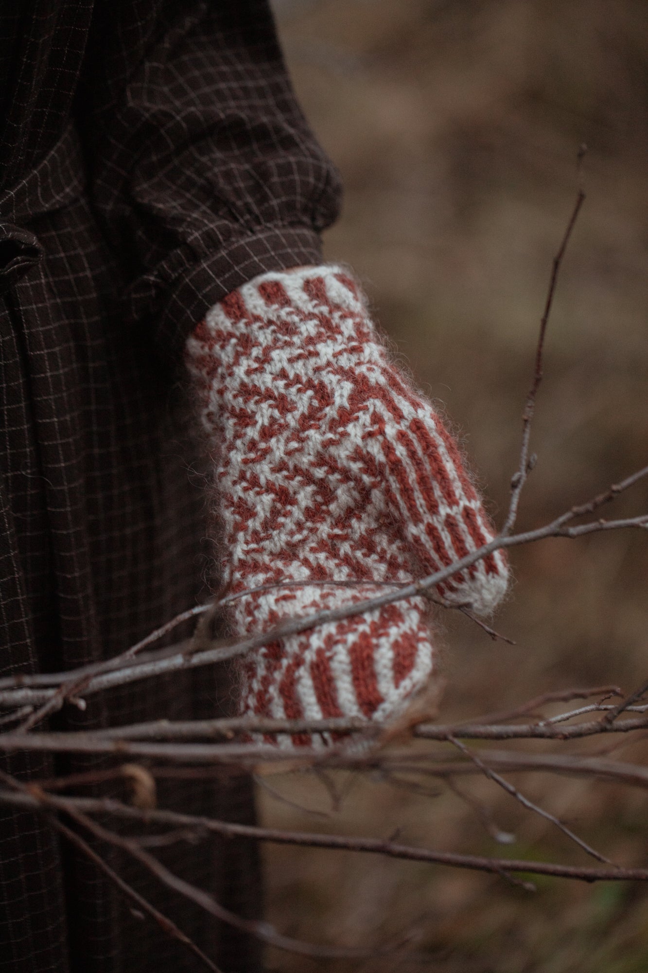 The Island and the Forest: A Knitted Correspondence