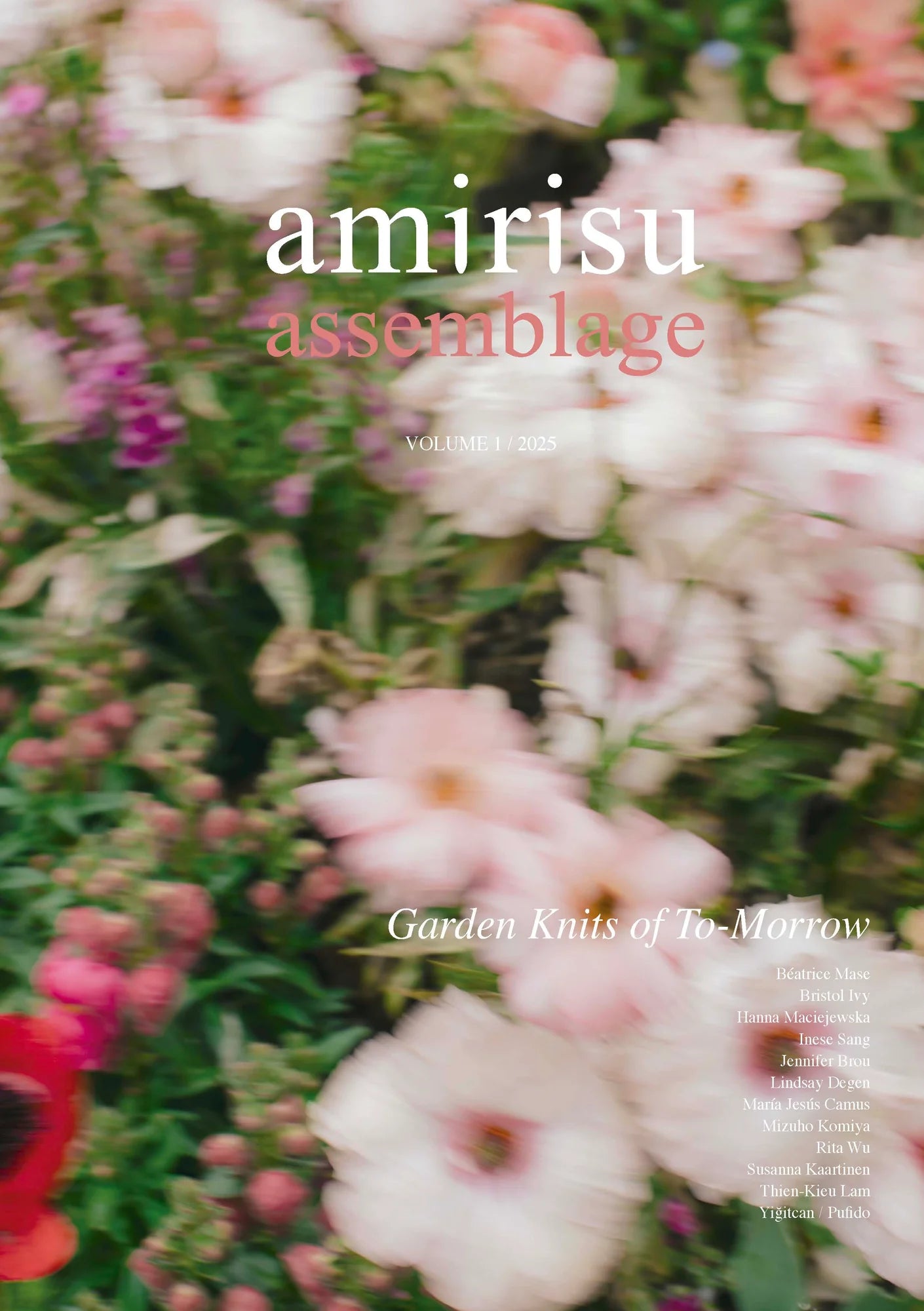 Assemblage Volume 1 by Amirisu