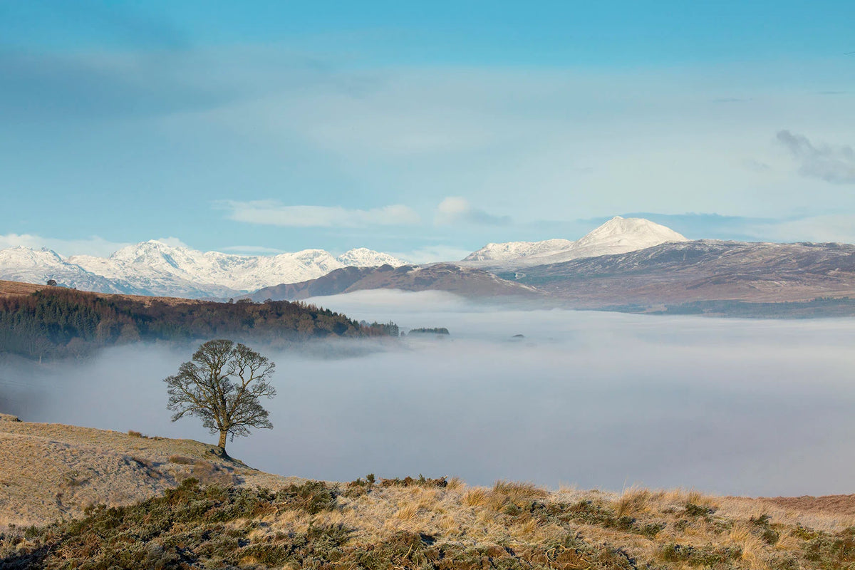 Ootlier Issue 2: Range