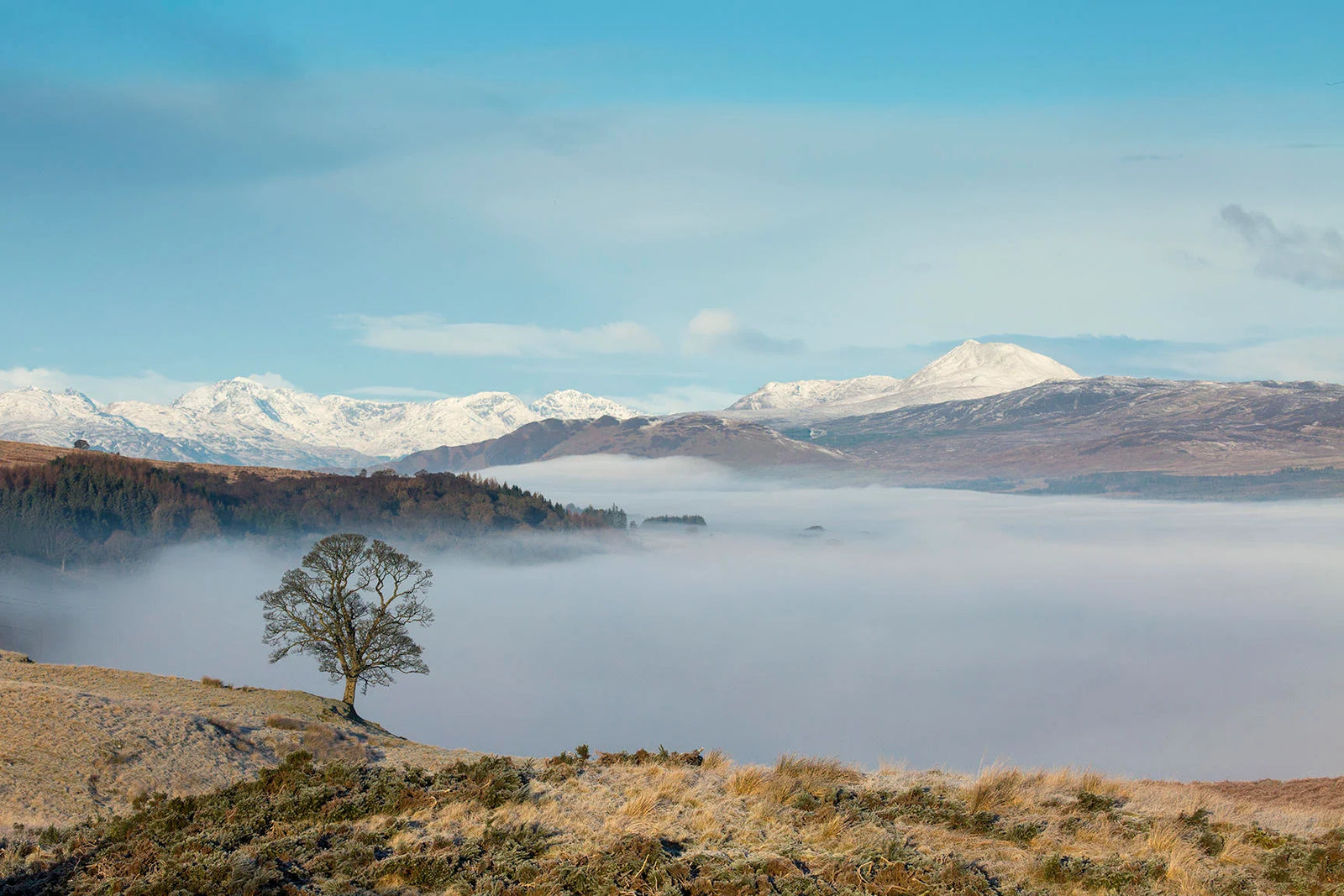 Ootlier Issue 2: Range