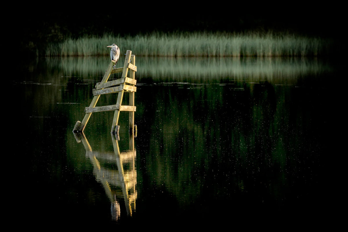 Ootlier Issue 2: Range