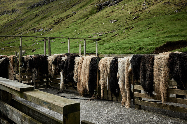 Faroese Yarn