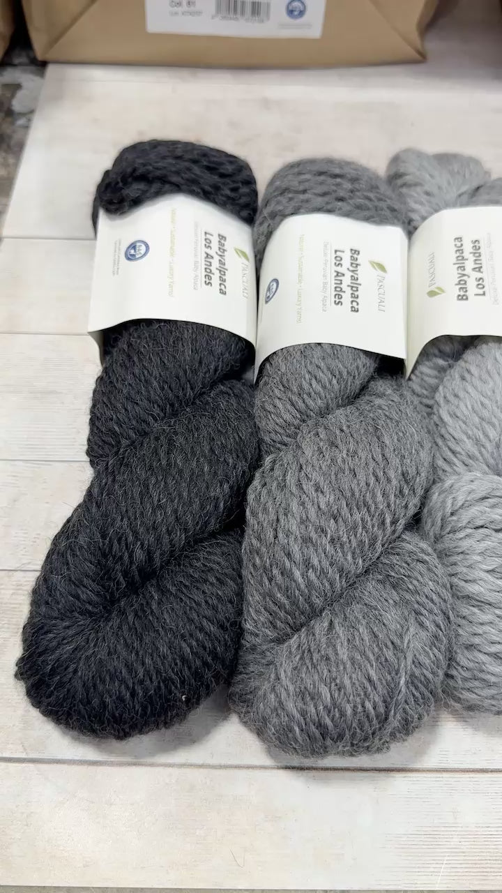 Babyalpaca Los Andes