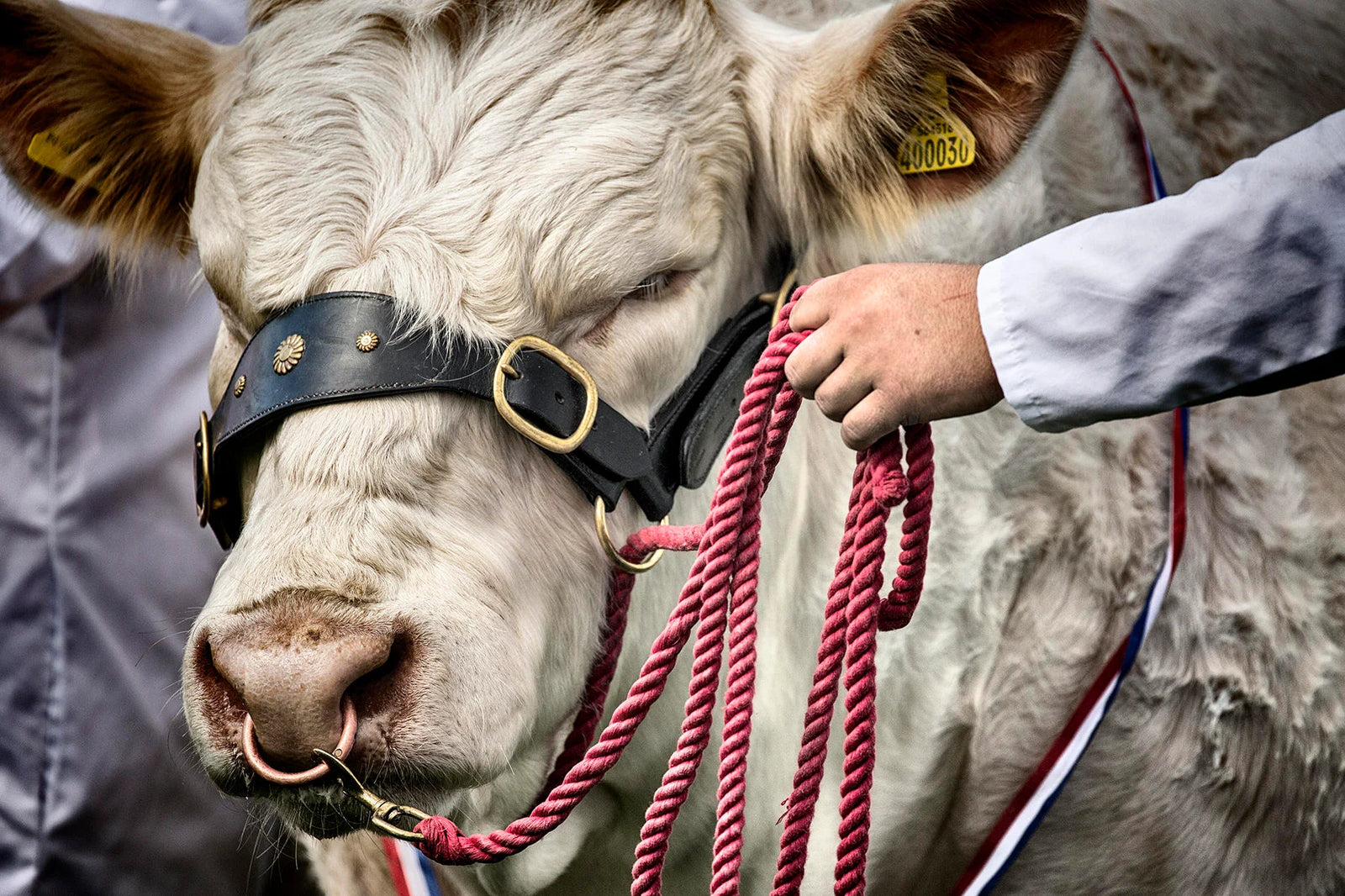 Ootlier Issue 1: The Drymen Show