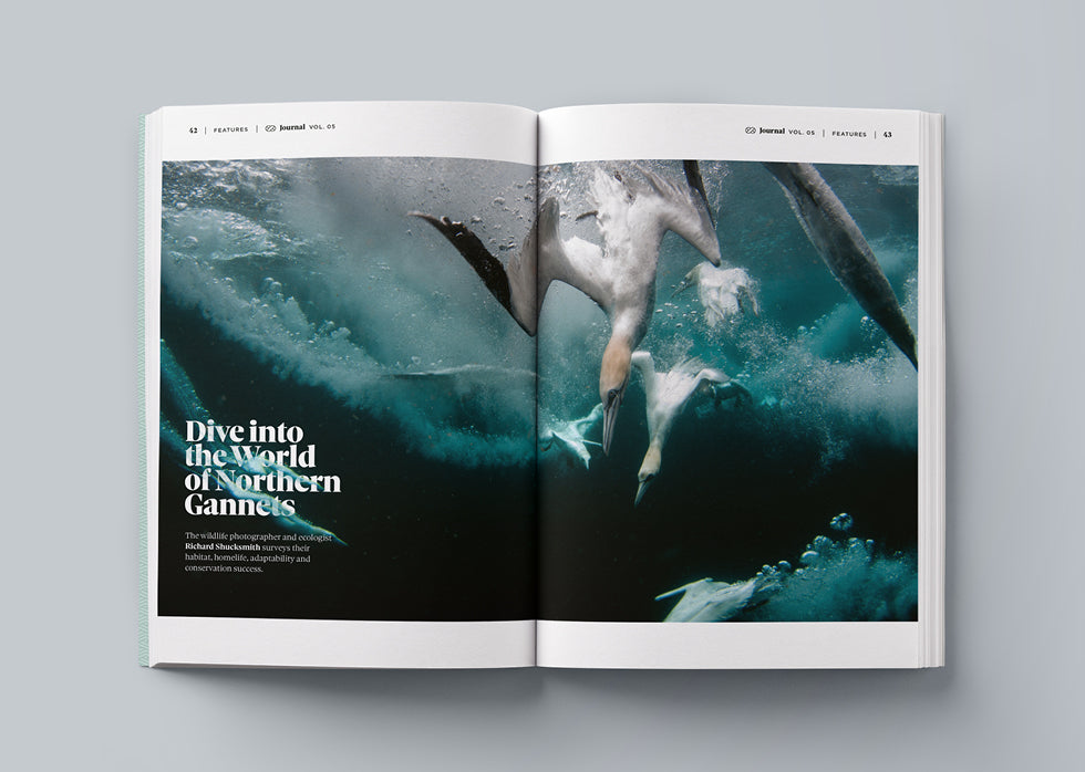 Shetland Wool Adventures Journal - Volume 5 Shetland Wool Adventures