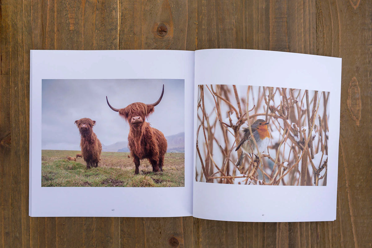 Ootlier Issue 2: Range