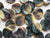 16mm - Mussel Shell Round Buttons TextileGarden