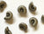 20mm - Metallic (ABS) Ammonite Shells TextileGarden