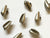 20mm - Metallic (ABS) Conch Shells TextileGarden
