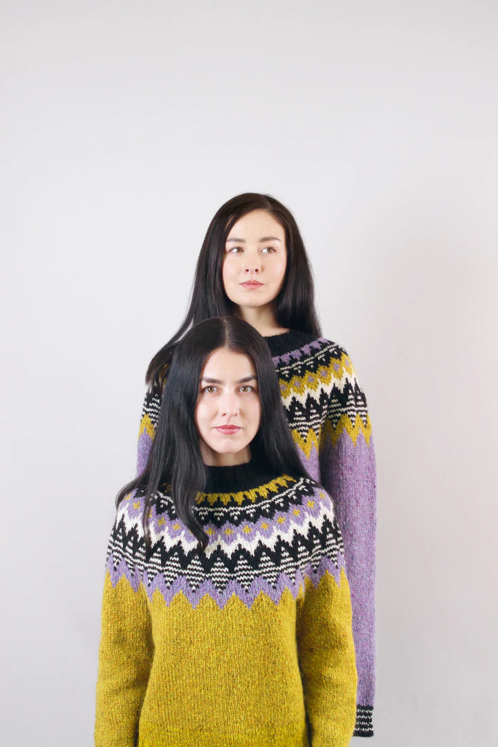 Moon and Turtle by Kiyomi & Sachiko Burgin Pom Pom Press