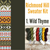Richmond Hill Sweater Kit 1 - Wild Thyme Blue Sky Fibers