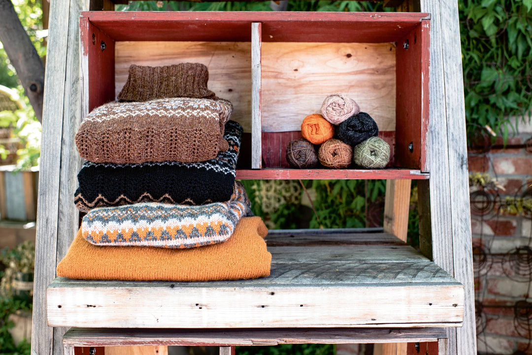 The Shetland Trader: Book Three by Gudrun Johnston Pom Pom Press