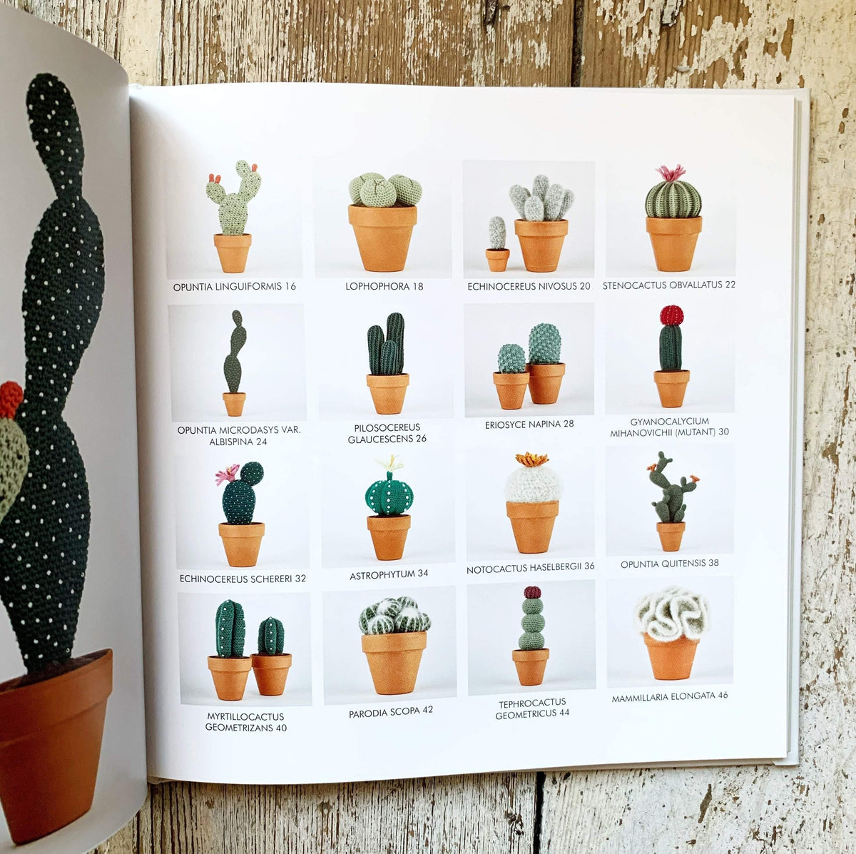 Crocheted Cactuses Search Press