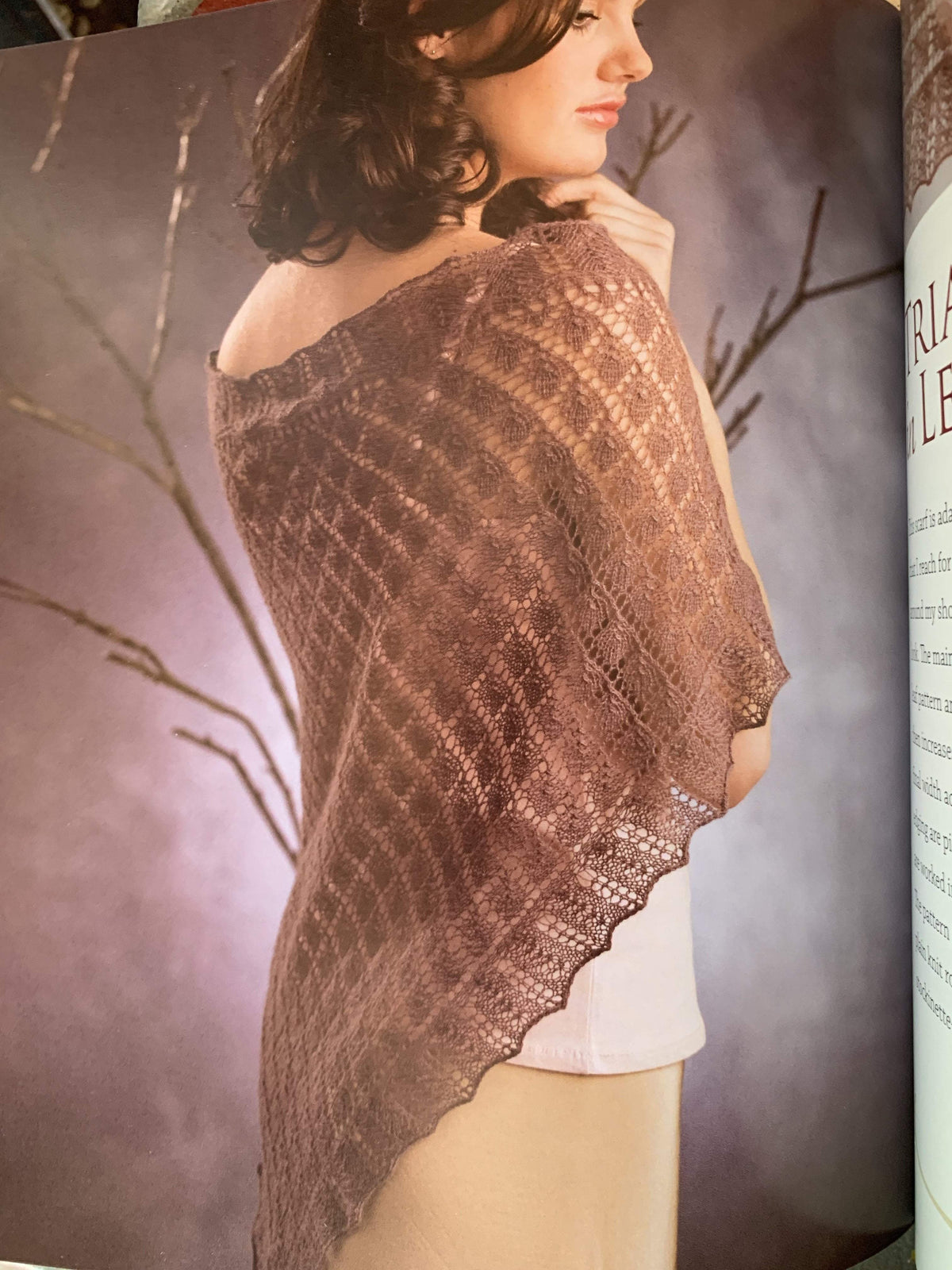 Knitted Lace of Estonia Book with DVD by Nancy Bush tribeyarns