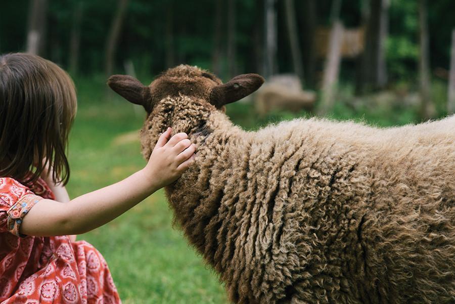 Making Magazine - No. 2 Fauna Making Magazine