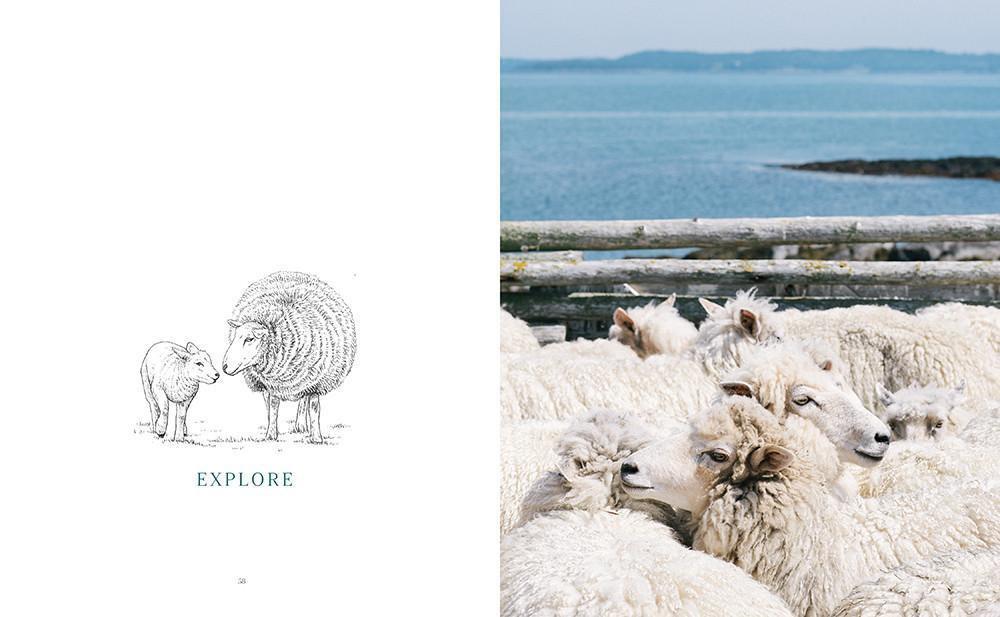 Making Magazine - No. 2 Fauna Making Magazine