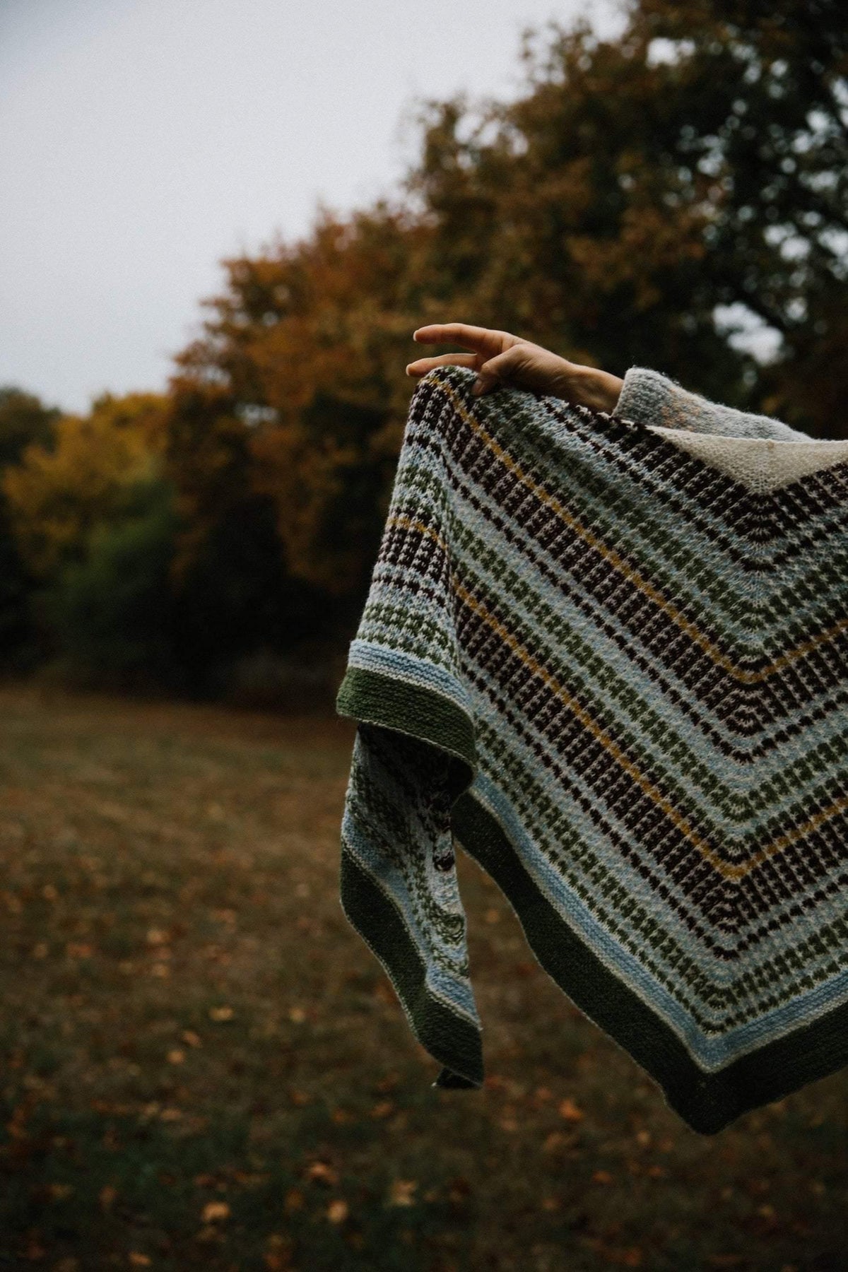 No.30 Shawl Pattern Biches & Bûches