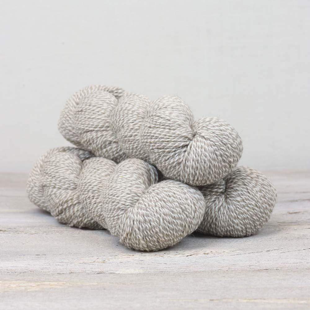 One Sock Beginner Sock Knitting Kit - Basic The Fibre Co